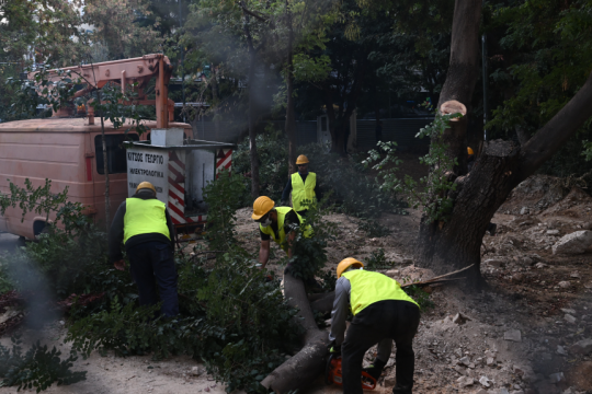 Kόβουν τα δέντρα στην πλατεία Εξαρχείων